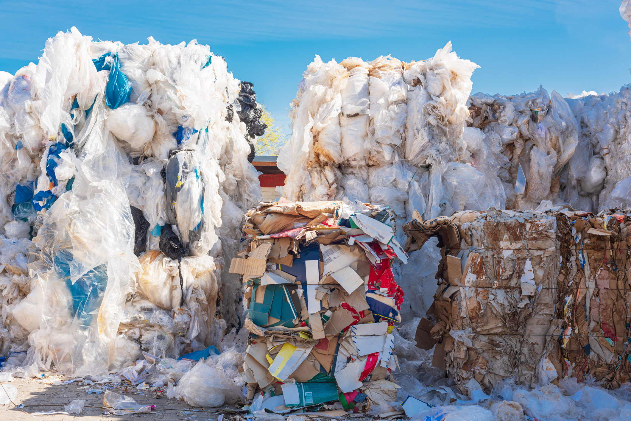 Nova Scotia Launches Producer-Led Recycling Program to Transform Packaging and Paper Waste