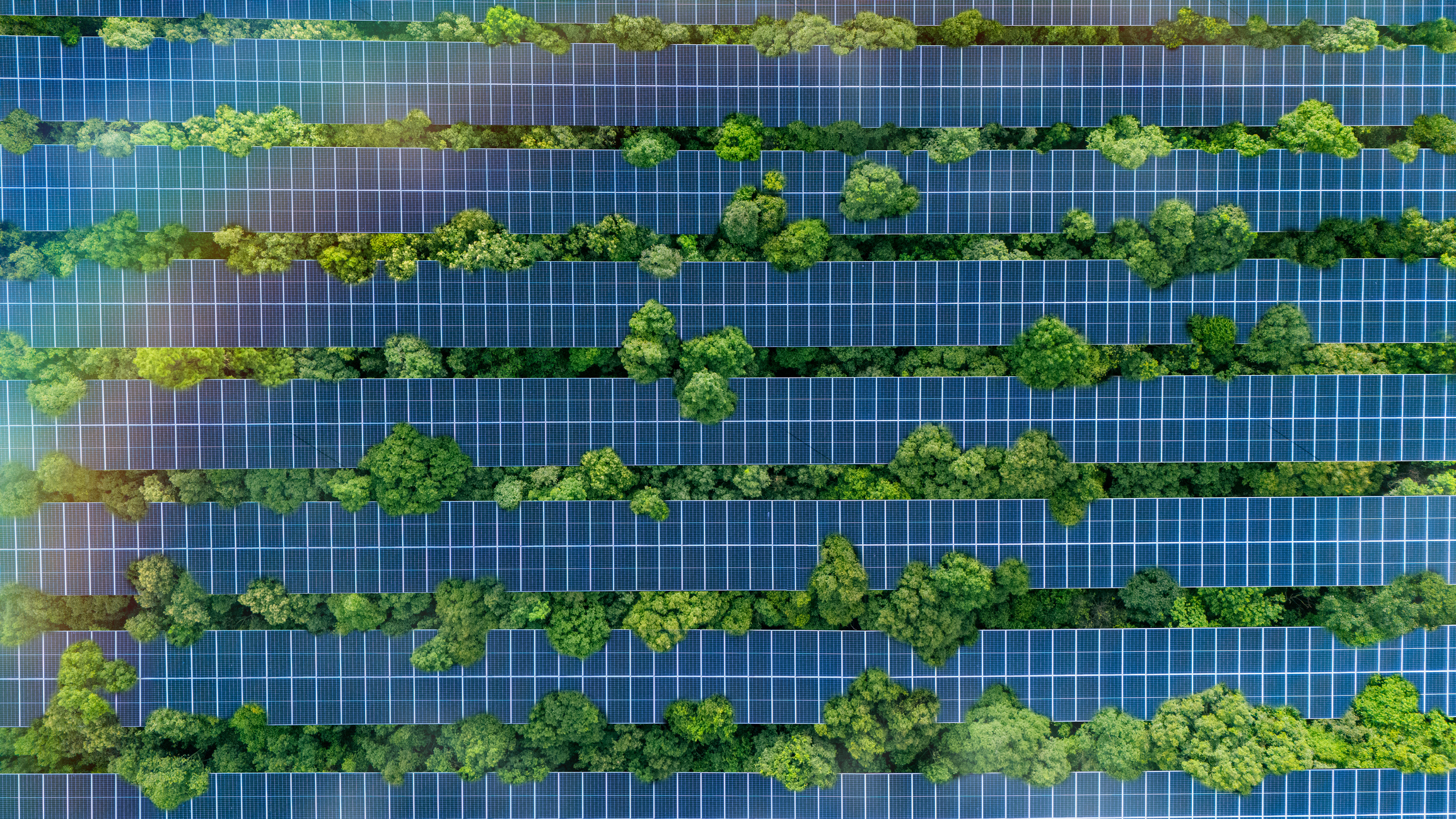 Malaviya Solar Secures German Recycling Technology as India Braces for Solar Waste Surge