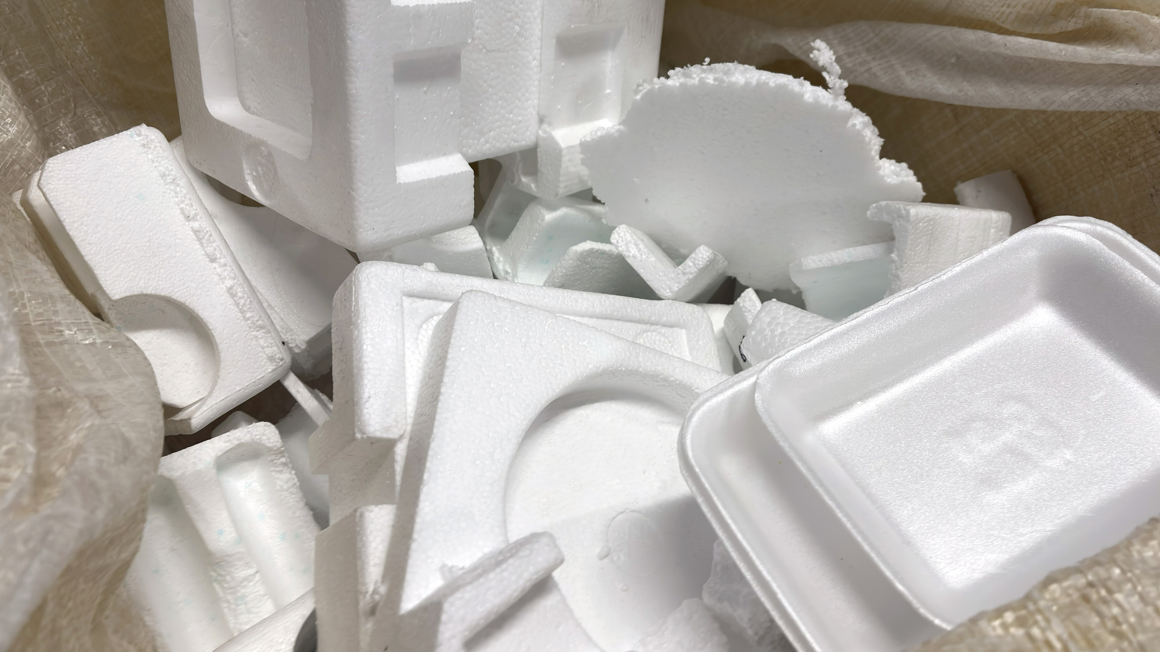 Polystyrene Recycling Alliance Backs R3vira to Scale Community Recycling in Mexico City
