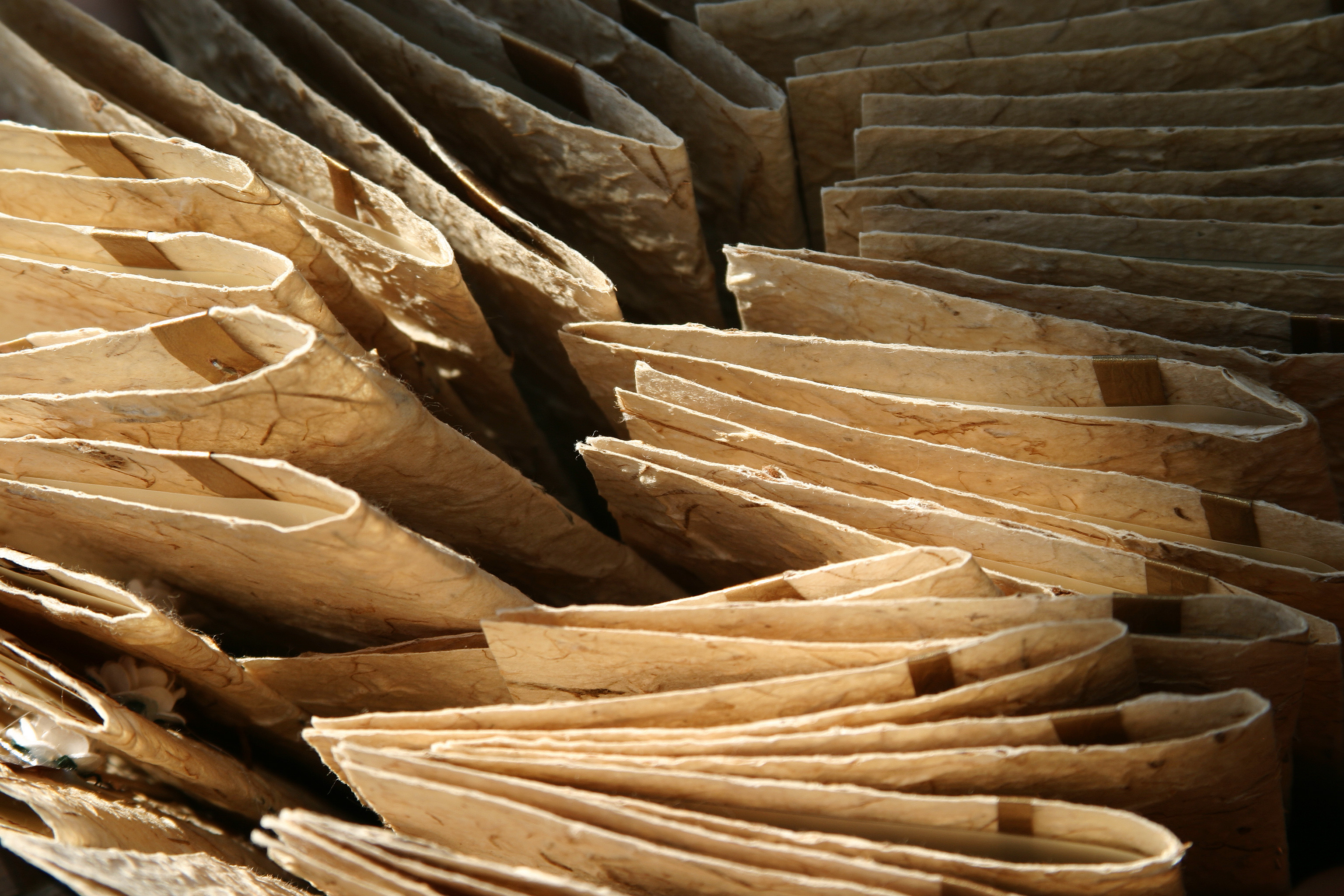 Amazon Partners with IIT Roorkee to Develop Packaging from Agricultural Residues