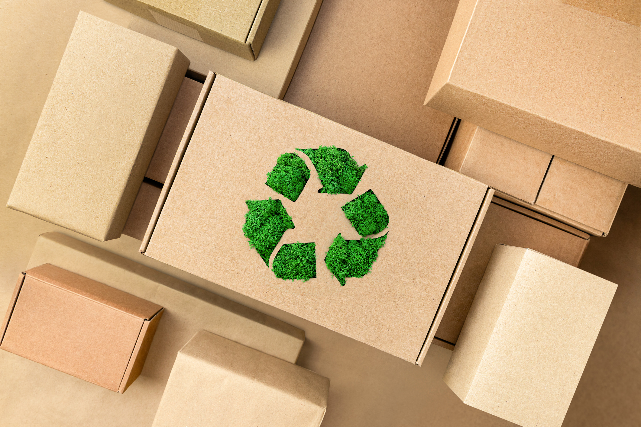 U.S. Plastics Pact Releases Updated Guidelines for Circular Packaging Design