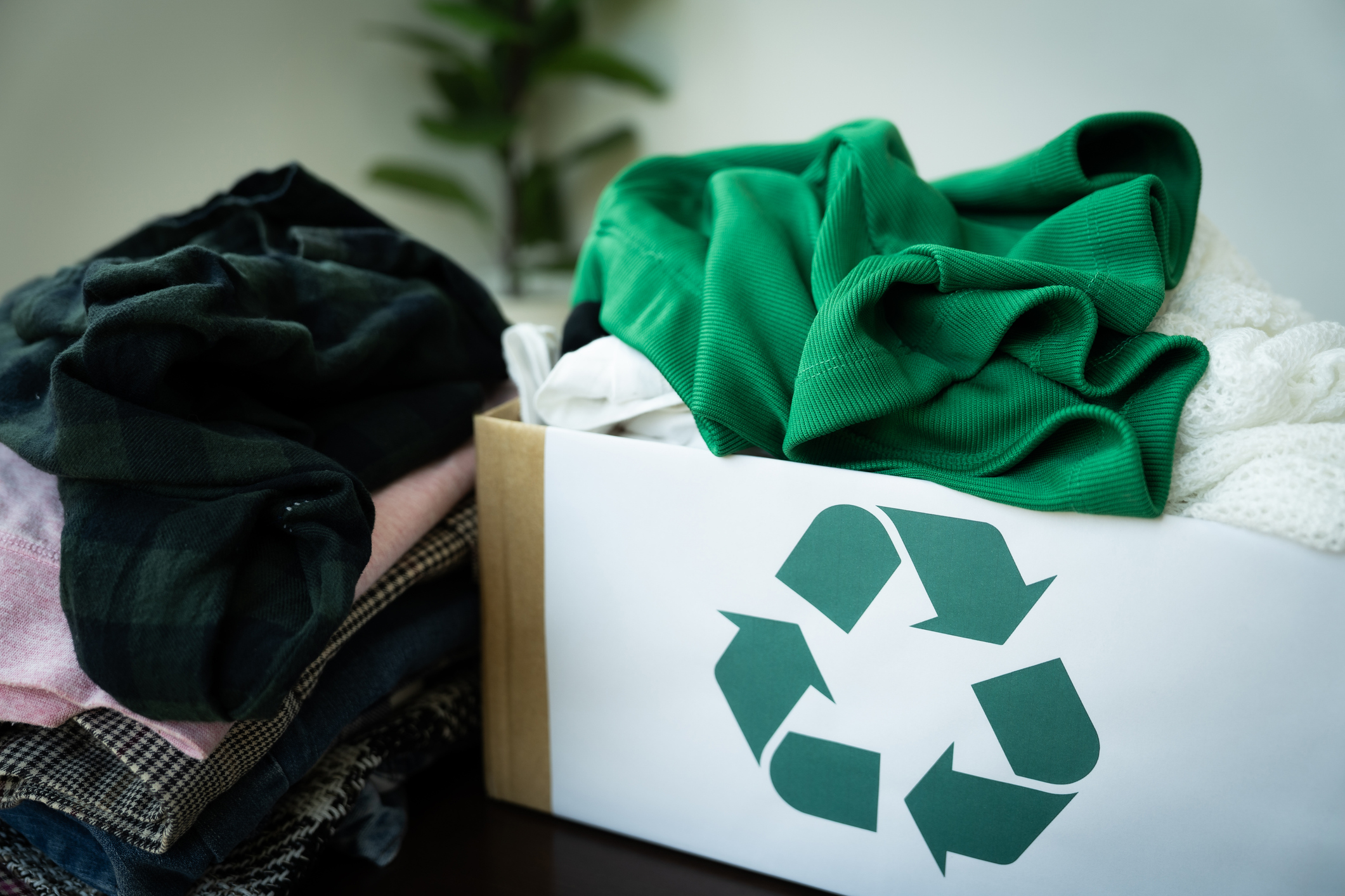 Ravel Raises $8.2 Million Seed Round to Scale Blended Textile Recycling