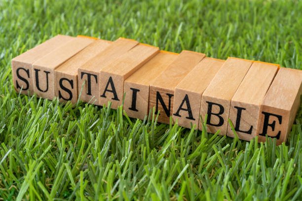 EU and New Caledonia Establish Strategic Partnership on Sustainable Raw Materials